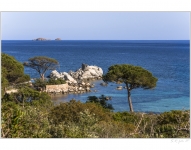 Palombaggia 
