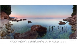 PF 2011