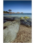 Palombaggia 
