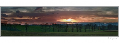 polní