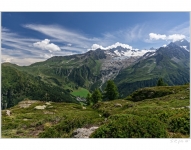 Le Tour