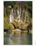 Kravica