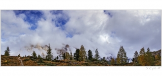 stydlivá Tofana