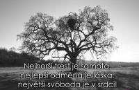 .....věty, které mám rád