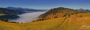 PIENINY31