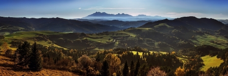 SVK 008