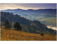 Pieniny
