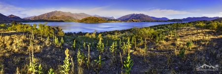 NZ 040