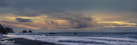 NZ 011