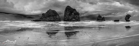 B-W 8