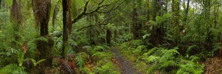 NZ 049