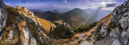 SVK 007