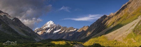 NZ 001