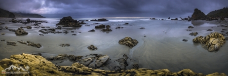 NZ 028