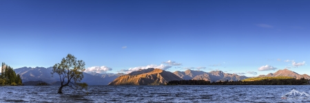 NZ 002