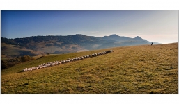 Pieniny
