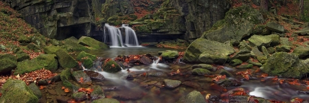 NATURE 010