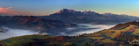 SVK 037