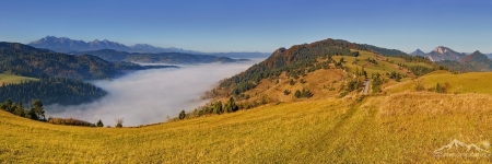 SVK 080