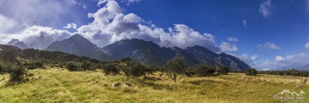 NZ 020
