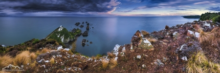 NZ 008