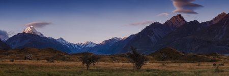 NZ 003