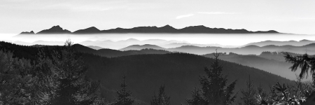 B-W 7