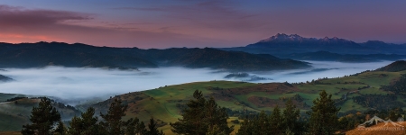 SVK 033