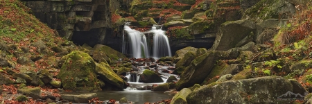 NATURE 013