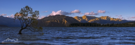 NZ 042