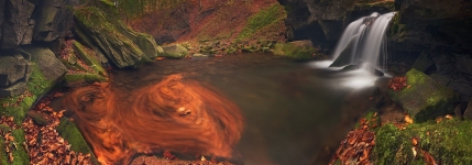 NATURE 001