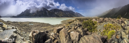NZ 016