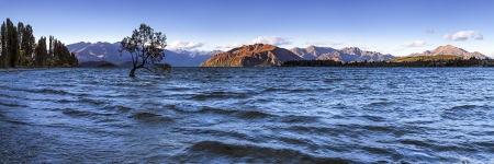 NZ 023