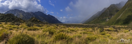 NZ 019