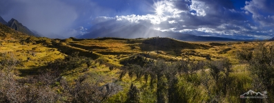 NZ 018