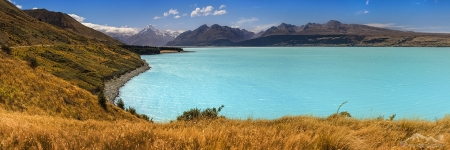 NZ 012