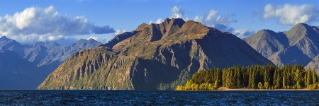 NZ 037