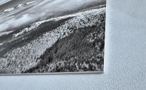 IMG_9727_M